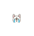 超ちいさいフレブル(ホワイト)（個別スタンプ：29）