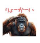 オラウータンの日常スタンプ！3Dリアル（個別スタンプ：3）