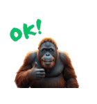 オラウータンの日常スタンプ！3Dリアル（個別スタンプ：9）