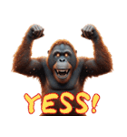 オラウータンの日常スタンプ！3Dリアル（個別スタンプ：12）