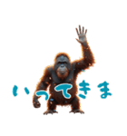 オラウータンの日常スタンプ！3Dリアル（個別スタンプ：13）