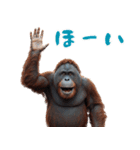 オラウータンの日常スタンプ！3Dリアル（個別スタンプ：18）