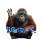 オラウータンの日常スタンプ！3Dリアル（個別スタンプ：20）