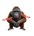 オラウータンの日常スタンプ！3Dリアル（個別スタンプ：21）