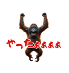 オラウータンの日常スタンプ！3Dリアル（個別スタンプ：27）