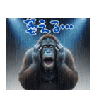 オラウータンの日常スタンプ！3Dリアル（個別スタンプ：30）