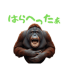 オラウータンの日常スタンプ！3Dリアル（個別スタンプ：33）