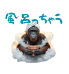 オラウータンの日常スタンプ！3Dリアル（個別スタンプ：34）