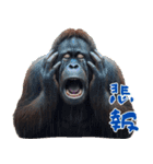 オラウータンの日常スタンプ！3Dリアル（個別スタンプ：38）