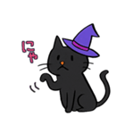 ハロウィン 魔女帽子の黒ねこスタンプ（個別スタンプ：12）
