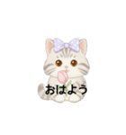 使いやすいアメリカンショートヘア（個別スタンプ：1）