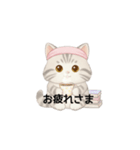 使いやすいアメリカンショートヘア（個別スタンプ：5）