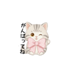 使いやすいアメリカンショートヘア（個別スタンプ：6）