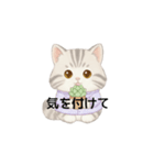 使いやすいアメリカンショートヘア（個別スタンプ：8）