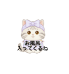 使いやすいアメリカンショートヘア（個別スタンプ：11）