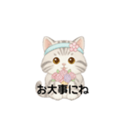 使いやすいアメリカンショートヘア（個別スタンプ：18）