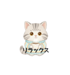 使いやすいアメリカンショートヘア（個別スタンプ：23）