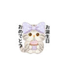 使いやすいアメリカンショートヘア（個別スタンプ：24）