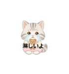 使いやすいアメリカンショートヘア（個別スタンプ：28）