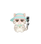 使いやすいアメリカンショートヘア（個別スタンプ：31）