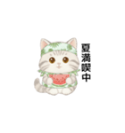 使いやすいアメリカンショートヘア（個別スタンプ：32）