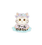 使いやすいアメリカンショートヘア（個別スタンプ：33）