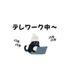 白ニット帽の黒猫スタンプ VOL.2（個別スタンプ：11）