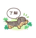 ゆるほわダックス◆シルバー◆日常会話（個別スタンプ：1）