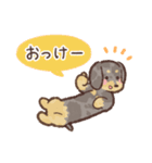 ゆるほわダックス◆シルバー◆日常会話（個別スタンプ：4）