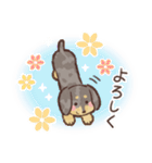 ゆるほわダックス◆シルバー◆日常会話（個別スタンプ：5）