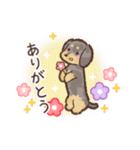 ゆるほわダックス◆シルバー◆日常会話（個別スタンプ：9）