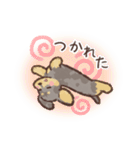 ゆるほわダックス◆シルバー◆日常会話（個別スタンプ：13）