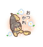 ゆるほわダックス◆シルバー◆日常会話（個別スタンプ：14）