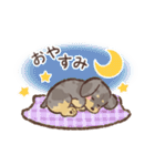 ゆるほわダックス◆シルバー◆日常会話（個別スタンプ：24）