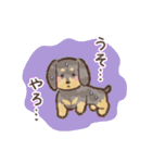 ゆるほわダックス◆シルバー◆日常会話（個別スタンプ：30）