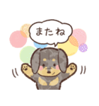 ゆるほわダックス◆シルバー◆日常会話（個別スタンプ：40）