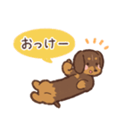 ゆるほわダックス◆チョコタン◆日常会話（個別スタンプ：4）