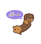 ゆるほわダックス◆チョコタン◆日常会話（個別スタンプ：8）