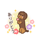 ゆるほわダックス◆チョコタン◆日常会話（個別スタンプ：9）