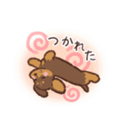 ゆるほわダックス◆チョコタン◆日常会話（個別スタンプ：13）