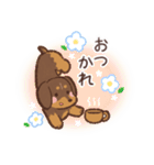 ゆるほわダックス◆チョコタン◆日常会話（個別スタンプ：14）