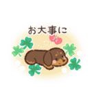 ゆるほわダックス◆チョコタン◆日常会話（個別スタンプ：18）
