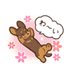 ゆるほわダックス◆チョコタン◆日常会話（個別スタンプ：19）