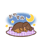ゆるほわダックス◆チョコタン◆日常会話（個別スタンプ：24）