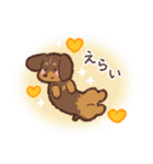 ゆるほわダックス◆チョコタン◆日常会話（個別スタンプ：25）