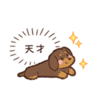 ゆるほわダックス◆チョコタン◆日常会話（個別スタンプ：26）