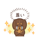 ゆるほわダックス◆チョコタン◆日常会話（個別スタンプ：27）