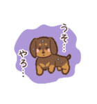 ゆるほわダックス◆チョコタン◆日常会話（個別スタンプ：30）