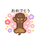 ゆるほわダックス◆チョコタン◆日常会話（個別スタンプ：36）