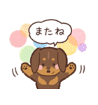 ゆるほわダックス◆チョコタン◆日常会話（個別スタンプ：40）